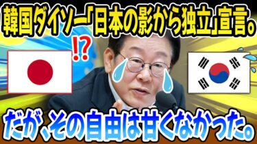 【海外感嘆】韓国「ダイソは韓国企業だ！」→日本「じゃあ任せた」→経営崩壊で涙の末路ｗｗｗ