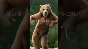 最近熊の事件おおい、、#どうぶつ#AI #地球温暖化 #animals #funny #クマ
