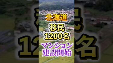 【釧路湿原 メガソーラーだけじゃない】北海道 倶知安町 移民受入れ専用マンション【移民問題｜外国人問題】