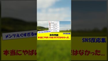 移民問題 本当にやばいのはJICAではなかった #shorts #政府 #政治