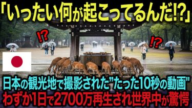 【海外の反応】「こんな光景、日本でしか見られない！」わずか10秒の映像に海外からコメントが殺到！公開1日で2700万回再生を突破した理由