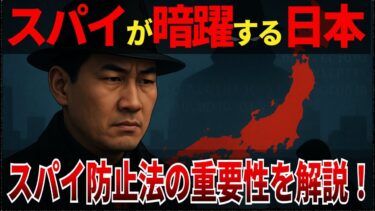 【ゆっくり解説】なぜ、いまスパイ防止法が必要なのか？#ゆっくり解説 #スパイ防止法 #地政学