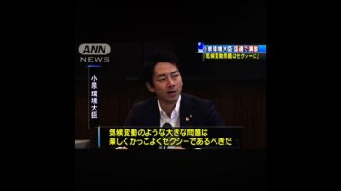 気候変動はセクシーには草#shorts #日本　#政治家に届け #ウッド研究所 #小泉進次郎