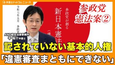 参政党は「基本的人権」を認めていない!?憲法訴訟のプロ「違憲審査がまともにできない」【参政党憲法草案#2】【神谷宗幣】