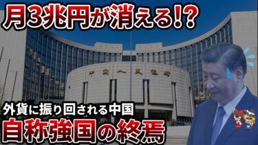 【金融崩壊】外貨が溶けるスピードが異常すぎる…中国で何が起きているのか？【ゆっくり解説】