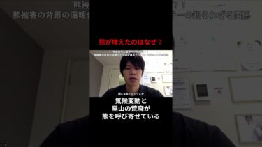 熊が増えたのはなぜ?気候変動と里山の荒廃が熊を呼び寄せている