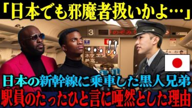 【海外の反応】「日本でも差別されるんだな…」日本人祖父母に会いに初来日した黒人兄弟が、新幹線駅員の“ある一言”で顔面蒼白になった衝撃の理由【海外レビュー】【日本称賛】