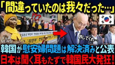 【海外の反応】「もうやめよう…」遂に認めたか！韓国国家人権委員会が少女像問題はすでに解決していると発言しメディアが騒然！韓国全土に大激震！