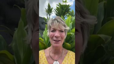 🇧🇷 Pippa Heylings MP at #cop30 🌍