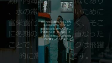 【環境】環境 瀬戸内海に迫る冬の赤潮 ― 2000年代の気候変動と漁業危機