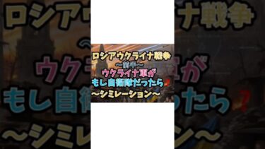 ロシアウクライナ戦争〜前半〜ウクライナ軍がもし自衛隊だったら〜シミレーション〜#ロシアウクライナ戦争 #ウクライナ軍  #自衛隊 #ロシア軍