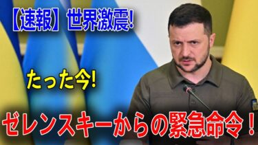 最新ニュース 2025年11月17日