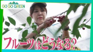【“気候変動時代”のお菓子作り】異常気象がフルーツを襲う　人気パティシエが畑で見たのは…