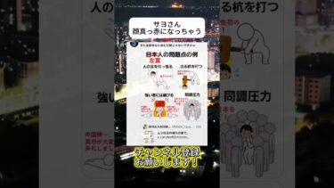 図星さんだ#ニュース #日本政治 #日本 #海外の反応 #自民党 #衝撃の事実 #高市早苗 #経済 #小野田紀美 #twitter