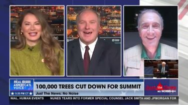 100 thousand trees cut for highway leading to the UN Climate Summit