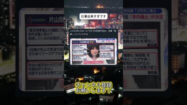 この調子ですすめてください #ニュース #日本政治 #日本 #海外の反応 #自民党 #衝撃の事実 #高市早苗 #経済 #小野田紀美 #twitter