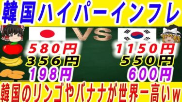 【韓国経済】日本vs韓国！食料品価格の差が異次元過ぎると思ったら韓国は世界一高かったｗ