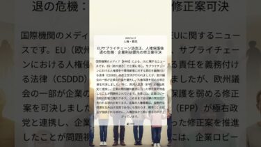 EUサプライチェーン法改正、人権保護後退の危機：企業利益優先の修正案可決｜HRW｜2025/11/17｜人権・難民