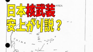 【日本の安全保障問題と米国との同盟】アメリカ中央情報局 CIA が日本で調べ上げた日本国内の政治情勢から見えてくる日本の核兵器開発に対するアメリカのスタンス
