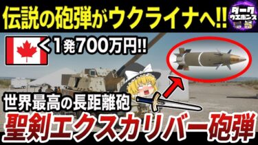 【ゆっくり解説】さすがに擁護不可能なヤバすぎるロシア軍の突撃戦術