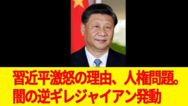 習近平が激怒の理由、人権問題の指摘と判明。闇の逆ギレジャイアン発動