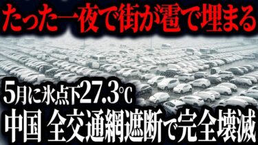 中国 異常気象が止まらず壊滅wwwトヨタがEVとガソリン車で圧倒的販売台数１位！やっぱりトヨタが世界一だった！【ゆっくり解説】