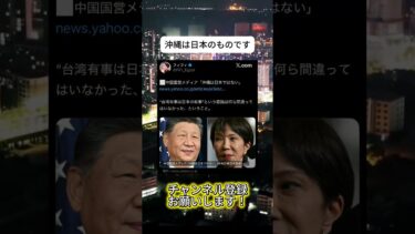 日本のものです　 #ニュース #日本政治 #日本 #海外の反応 #自民党 #衝撃の事実 #高市早苗 #経済 #小野田紀美 #twitter