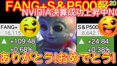 【おめでとう】エヌビディア決算大成功！今朝相場も、半導体が買われる FANG+,M7,