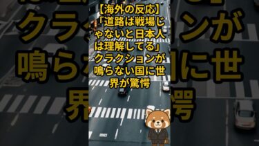 【海外の反応】「道路は戦場じゃないと日本人は理解してる」クラクションが鳴らない国に世界が驚愕