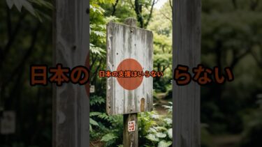 日本の支援はいらない#海外の反応 #japan #ai