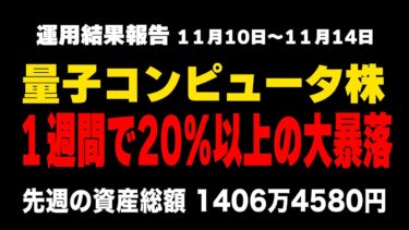 資産運用報告(11月2週)【NISA/iDeCo/仮想通貨】
