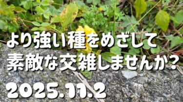 異常気象に負けない準備