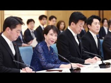 中国の禁輸措置、日本にとって悪い話ばかりではない！韓国・オーストラリアの経験から学ぶ経済安全保障と戦略的対応