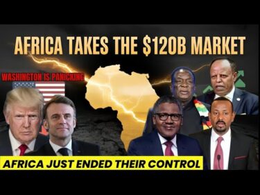 Here’s Why Africa Just Took Control of a $120 Billion Supply Chain — And the