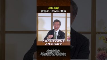 【移民問題】賃金が上がらない理由