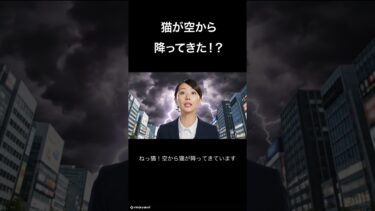 空から猫・・・！？　#猫  #cat #ai #shorts ＃異常気象