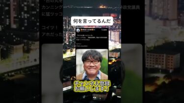 理解不能　#ニュース #日本政治 #日本 #海外の反応 #自民党 #衝撃の事実 #高市早苗 #経済 #小野田紀美 #twitter