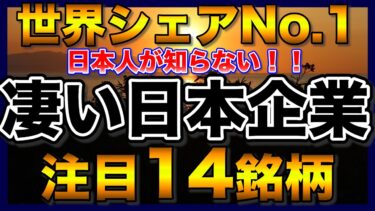 【高配当株】世界シェアNo.1！永久保有株を探す、ニッチトップ注目14銘柄【配当金】【不労所得】