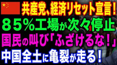 【海外の反応】世界第2位の経済大国で前代未聞の異変、国中に広がる「停止の波」の裏に隠された謎とは！【ゆっくり解説】
