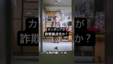 カンボジア詐欺拠点化　　　#特殊詐欺 #カンボジア #国際犯罪 #詐欺対策 #闇社会 #マネーロンダリング#国際ニュース #社会問題 #治安 #国境管理