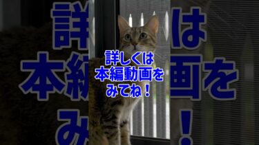 地球のエネルギーバランスが崩れ始めている！？#気候変動#地球温暖化