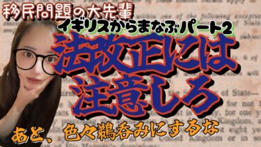【イギリス】【移民問題】落とし穴のない法律など無い🤣消されないうちに観とけ #移民問題 #イギリス王室