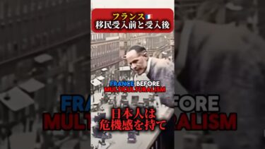 【移民制度】フランスが多文化共生を進め、移民受入強化した末路がコレ 日本も近い将来同様の姿になっているかも？　#外国人問題 #政治 #減税日本 #移民問題