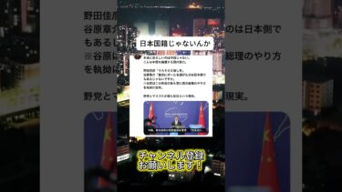 スパイなん?#ニュース #日本政治 #日本 #海外の反応 #自民党 #衝撃の事実 #高市早苗 #経済 #小野田紀美 #twitter