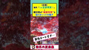 【海外の反応】親日勢の日本絶景ベスト７を大絶賛