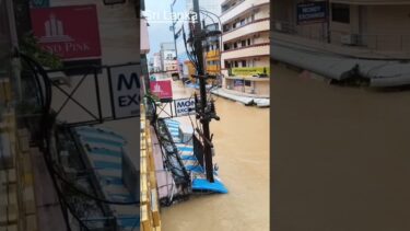 டிட்வா புயல் #climatechange #weather #weatherupdate #climate #rainfall #cyclone