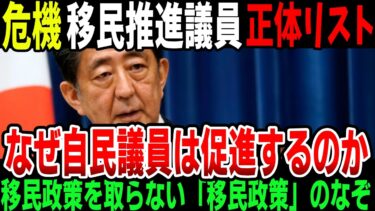 【激怒】自民党が移民政策を止めない理由とは　　　　再アップ