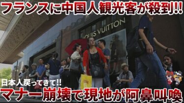 【総集編】世界中から拒否反応⁉各国で歓迎されない中国特集【ゆっくり解説】