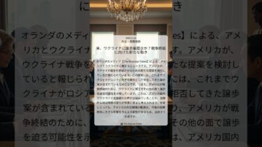 米、ウクライナに譲歩案提示か？戦争終結に向けた新たな動き｜The Moscow Times｜2025/11/21｜外交・国際関係