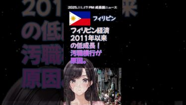 2025.11.17 午後 成長国ニュース   #半導体 #注目ニュース #海外ニュース #驚きの事実